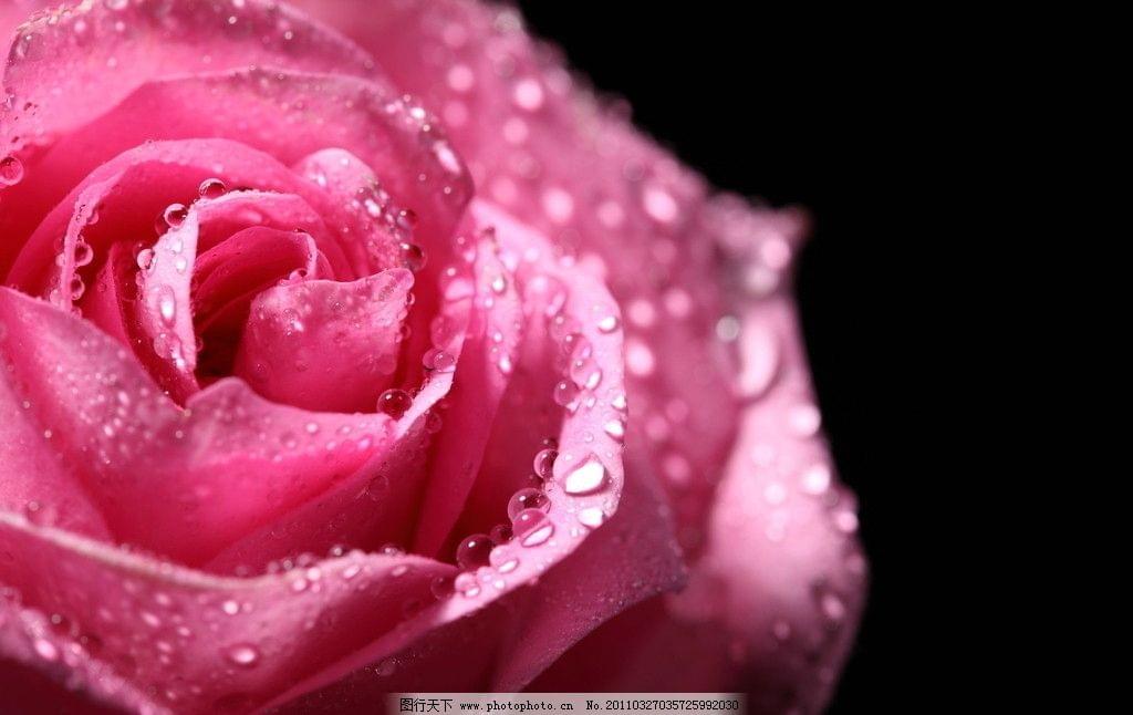 850e6ef16e56b016f8145d3a18d80500 850e6ef16e56b016f8145d3a18d80500